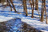 Tay Riverbank_33619